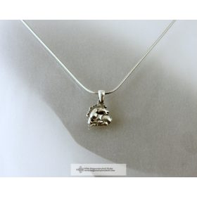 KIS SZKÍTA CSIKÓ MEDÁL