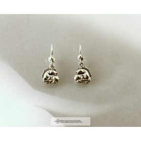 SZKÍTA CSIKÓ FÜGGŐ