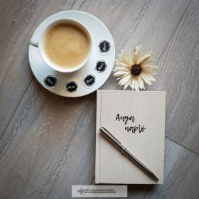 ANYA NAPLÓ BEIGE SZÍNŰ BORÍTÓVAL